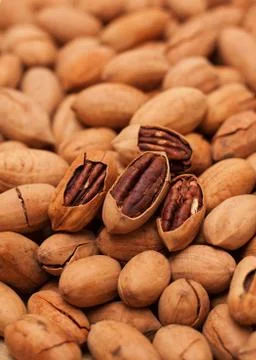 Pecan background textue Stock Photos