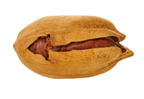 Pecan with clipping path Stock Photos