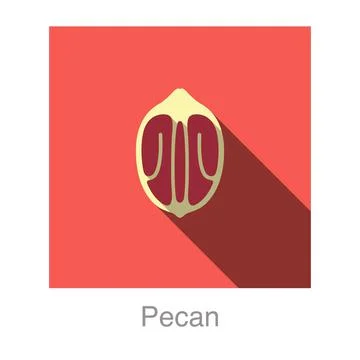 Pecan flat icon, vector illustration 스톡 일러스트