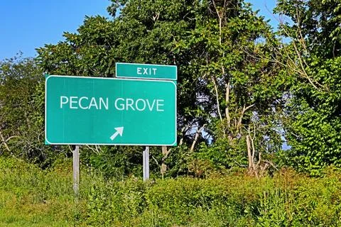 PECAN GROVE Stock Photos