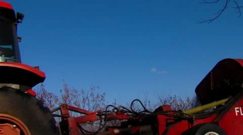 Pecan Harvest 1 Video stock 10762653