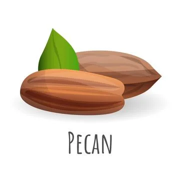 Pecan icon, cartoon style Stock Illustration