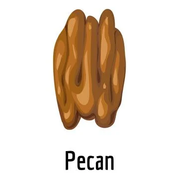 Pecan icon, cartoon style Stock Illustration