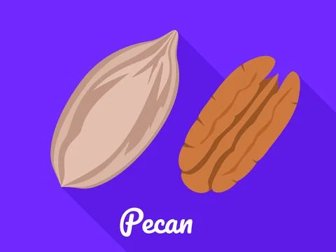 Pecan icon, flat style Stock Illustration