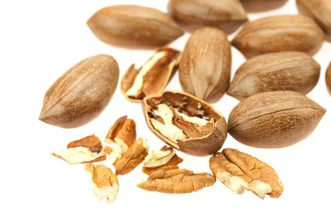 Pecan isolated on white Stock Photos