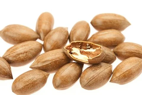 Pecan isolated on white Stock Photos