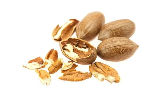 Pecan isolated on white Stock Photos