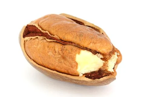 Pecan nut and nut-cracker Stock Photos