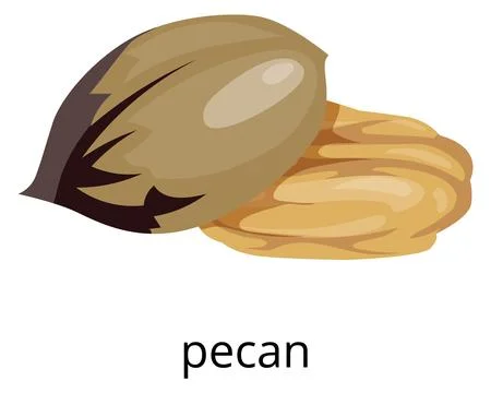 Pecan nut color icon. Raw vegan snack Stock Illustration