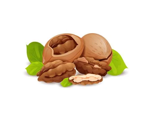 Pecan nut composition, good for label and sticker Stock Illustration
