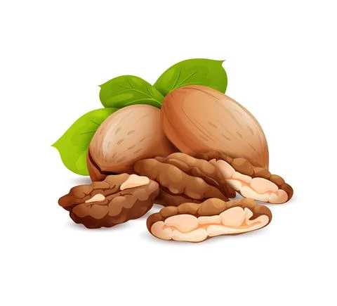 Pecan nut composition, good for label and sticker Stock Illustration