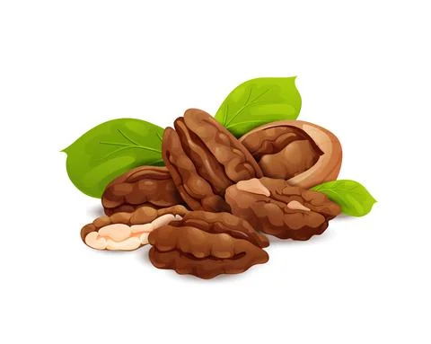 Pecan nut composition, good for label and sticker Stock Illustration
