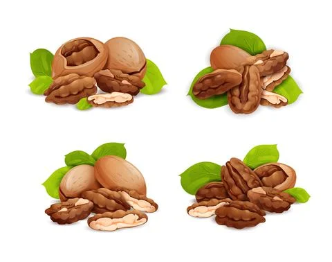 Pecan nut compositions set, side and top view Stock Illustration