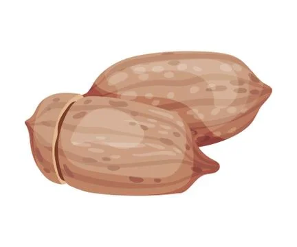 Pecan Nut with Cracked Shell Isolated on White Background Vector Illustration Stock Illustration
