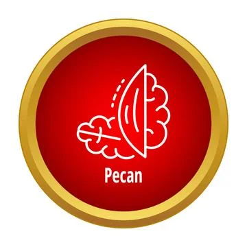 Pecan nut food ingredient flat design icon Stock Illustration