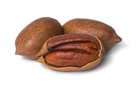 Pecan nut isolated on white background. Walnut in shell and peeled. Stock Photos