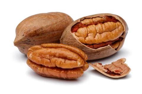 Pecan nut isolated on white Stock Photos