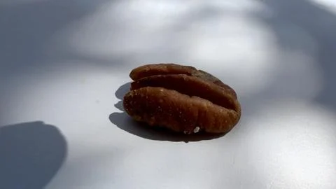 Pecan nut kernel on white background for food texture and ingredient use Stock Photos