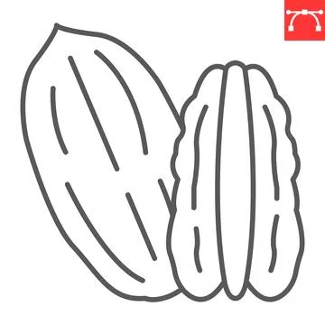 Pecan nut line icon 스톡 일러스트