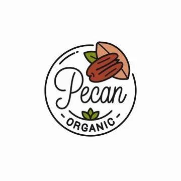 Pecan nut logo. Round linear of pecan on white Illustrazione stock