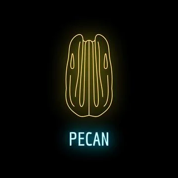Pecan nut outline illuminating dark background with text Stock Illustration