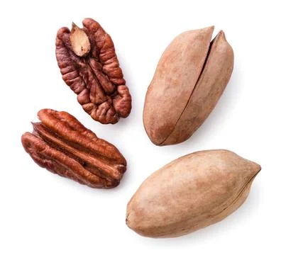 Pecan nut peeled and in shell on a white background. Top view Stock Photos