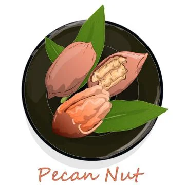 Pecan nut on plate isolated on white background. Vector illustration. Stock Illustration