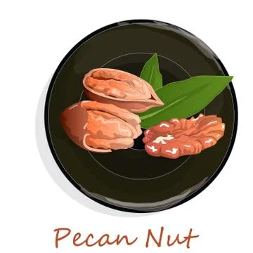 Pecan nut on plate isolated on white background. Vector illustration. Stock Illustration