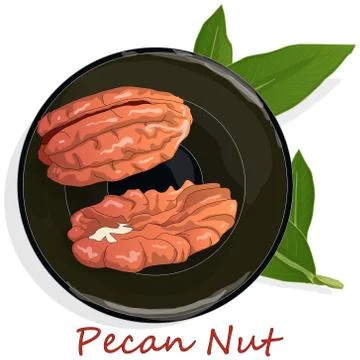 Pecan nut on plate isolated on white background. Vector illustration. Stock Illustration