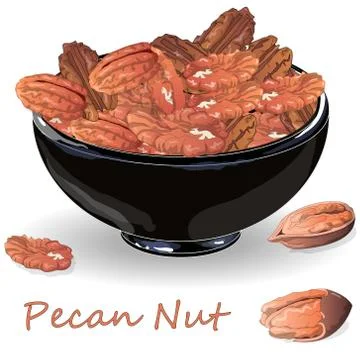 Pecan nut on plate isolated on white background. Vector illustration. Stock Illustration