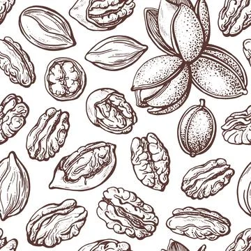 Pecan nut seamless pattern Vector drawn old sketch Stock Illustration