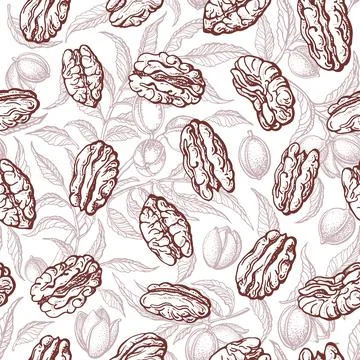 Pecan nut seamless pattern Vector hand drawn print Stock Illustration