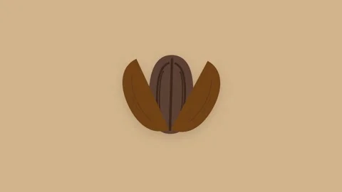 Pecan Nut Shell Splitting Open Revealing Detailed Kernel on Tan Background Видео 346007137