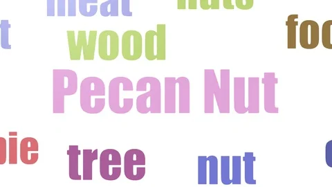 Pecan Nut Tagcloud Animated Isolated On White Vídeos de archivo 107244096