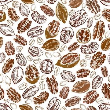 Pecan nut. Vector seamless pattern. Texture grains Stock Illustration