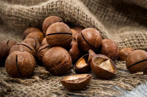 Pecan nut on a white background. Bunch of pecans isolate closeup Stock Photos