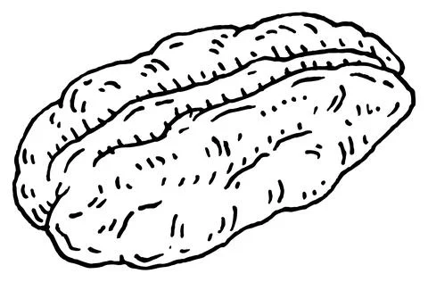 Pecan nut without shell. Vector engraving black vintage イラスト素材