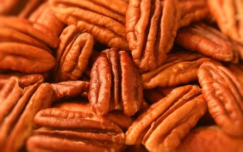 Pecan nuts background horizontal close-up hd. Pecan pattern Foto stock
