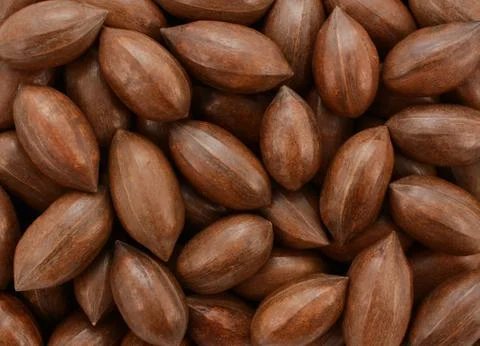 Pecan nuts background Foto stock