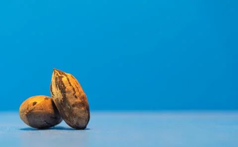 Pecan nuts on the blue background. Stock Photos