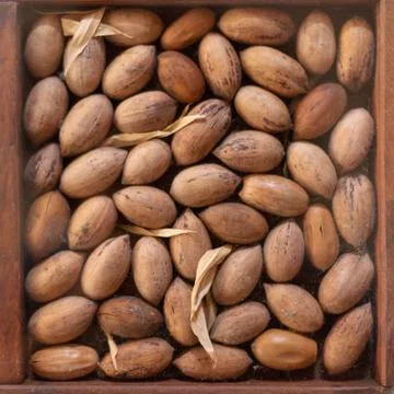 Pecan nuts on a box with some dried leaves in between Stock Photos