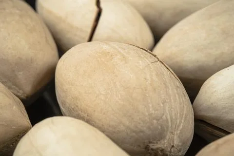 Pecan Nuts extremely close up shot. Big Pecan 스톡 사진