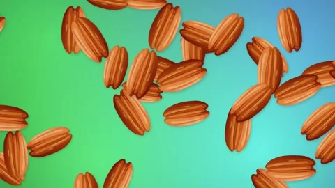 Pecan Nuts Falling and Bouncing on a Vibrant Gradient Background Stock Footage 344831606