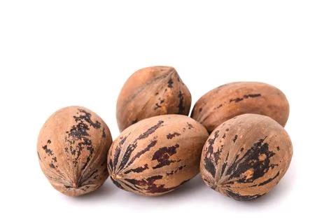 Pecan nuts group Stock Photos
