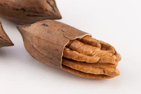 Pecan nuts isolated on white background Stock Photos