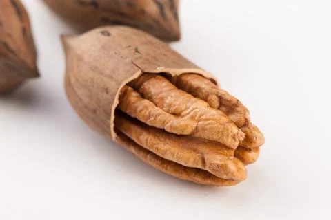 Pecan nuts isolated on white background Stock Photos