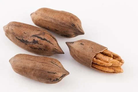 Pecan nuts isolated on white background Stock Photos