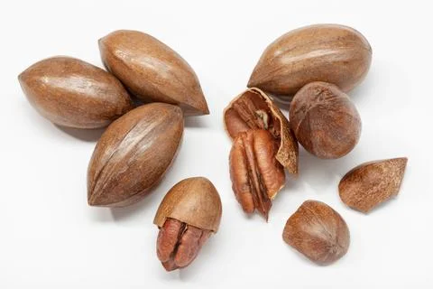 Pecan nuts isolated on white background. Carya illinoinensis Stock Photos