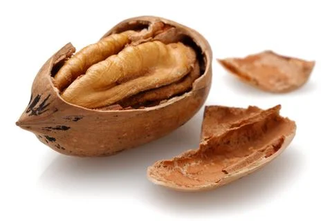 Pecan nuts isolated on white Stock Photos