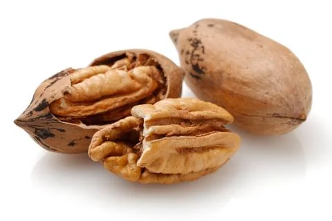 Pecan nuts isolated on white Stock Photos